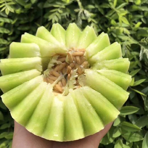 软糯爆甜蜜瓜新疆冰淇淋蜜瓜九州巴郎域菇娘哈密瓜软糯香甜