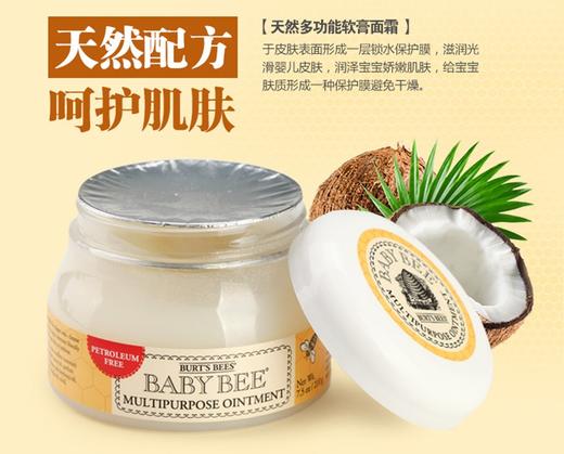 BURT'S BEES/伯特小蜜蜂 婴儿天然万用软膏 210GJPY带授权招加盟代理 商品图3