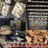 素食庄园江西井冈山农家自制散装笋干干货野生冬笋尖竹笋干春笋干 250g 商品缩略图3