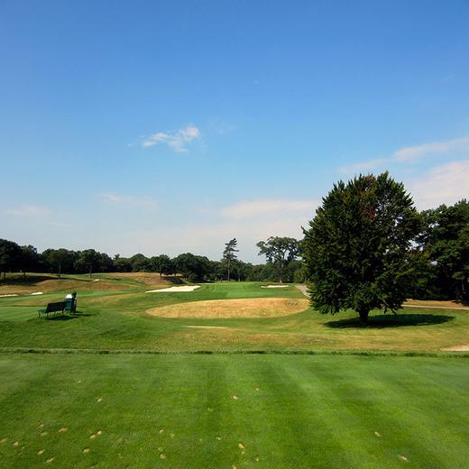 美国乡村俱乐部 The Country Club (Clyde/Squirrel) | 世界百佳 商品图4