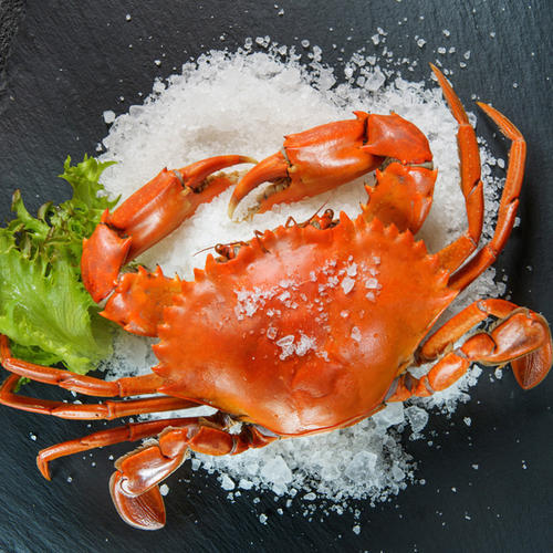 鲜活带绳大膏蟹 /只 商品图1