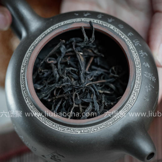 2012年 原种六堡野生茶（130g、500g）六堡聚私房茶 商品图4