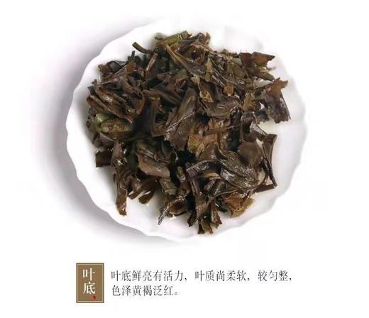 品品香紧压工夫白茶360克 商品图11