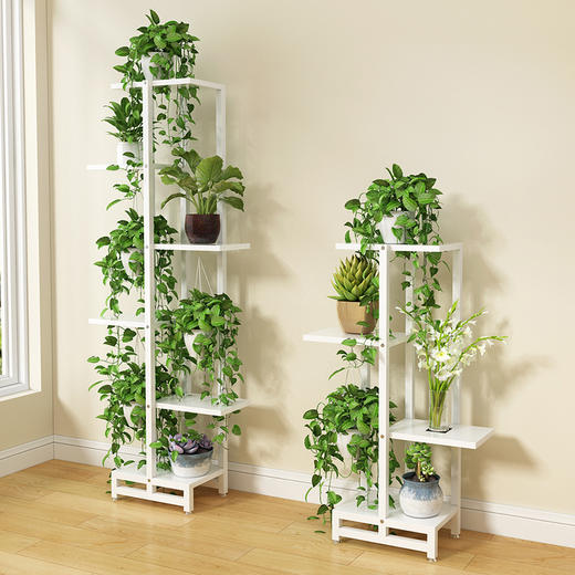 绿萝吊兰花架钢木花架多层室内特价省空间铁艺花架hj181209