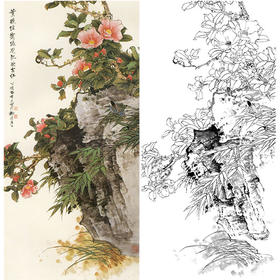 田世光工笔竖幅花鸟白描底稿-茶花-SG65