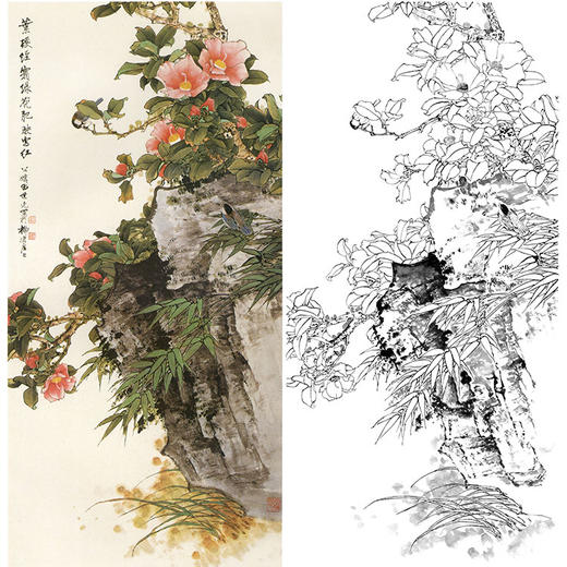 田世光工笔竖幅花鸟白描底稿茶花sg65