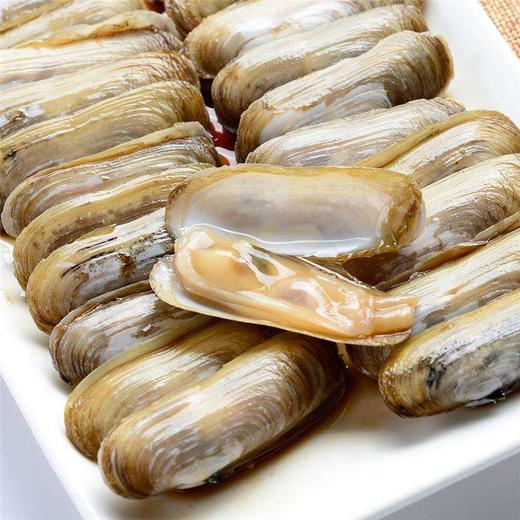 指甲贝 肉肥鲜嫩/满口鲜香 商品图2