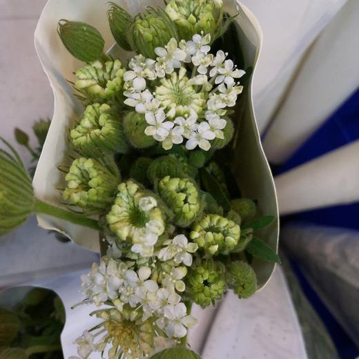 配花-翠珠花-白色 商品图1