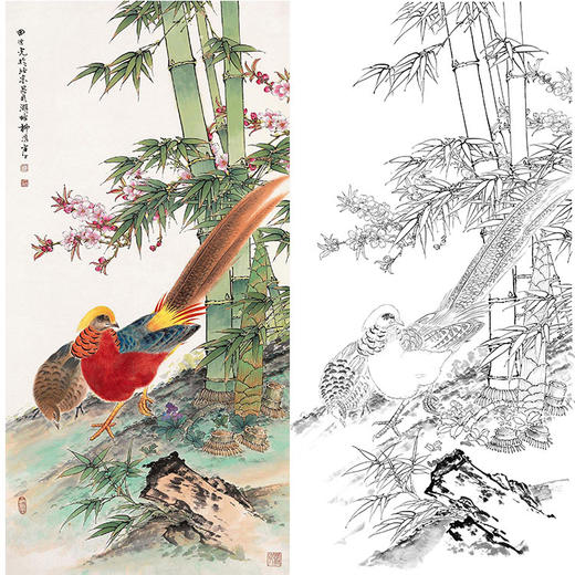 田世光工笔竖幅花鸟白描底稿-sg50