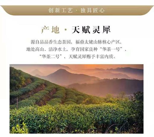 品品香紧压工夫白茶360克 商品图5