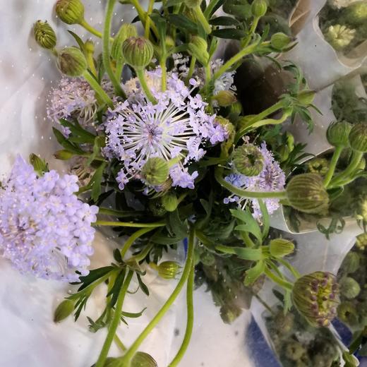 配花-翠珠花-紫色 商品图2