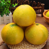 【1颗】(精品)网红葡萄柚 柔嫩多汁 甘中微苦 (重约500g—600g）【当天提货】 商品缩略图5