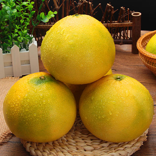 【1颗】(精品)网红葡萄柚 柔嫩多汁 甘中微苦 (重约500g—600g）【当天提货】 商品图5