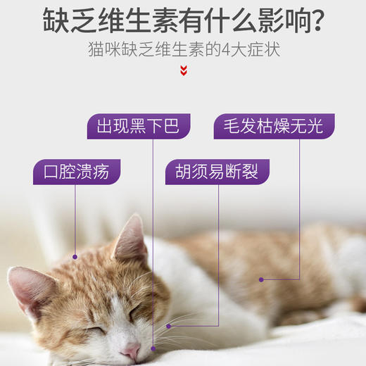 谷登猫用复合维生素片200片 商品图1