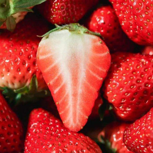 红颜草莓 优选品种 蜂媒授粉 无农残无添加 有机肥天然生态种植 商品图3