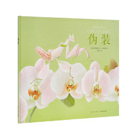 《伪装》诗意纪录三部曲 化身花朵、树叶和石头的动物魔法 读小库 7-9岁