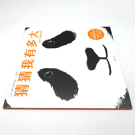 猜猜我有多大 商品图3