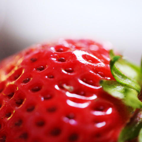 红颜草莓 优选品种 蜂媒授粉 无农残无添加 有机肥天然生态种植 商品图11