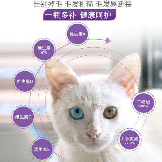 谷登猫用复合维生素片200片 商品图2