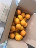 竹海冰糖橙 10斤 包邮 商品缩略图3