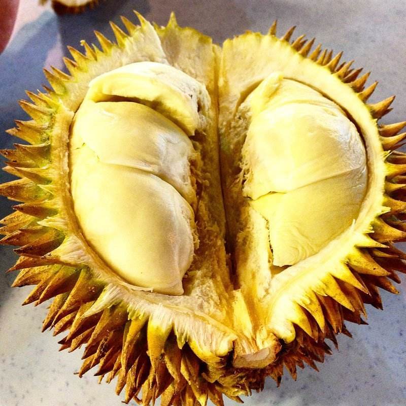泰国金枕榴莲【后院颗颗手选】39.9元/斤，订金100按实际重量补差价，干包黄金枕鲜榴莲【金枕不包房数，金枕特性房数少果肉大，不包房数】，【仅限哈尔滨同城】