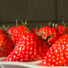 【48小时左右发货】辽宁丹东 红颜草莓🍓2.6斤装左右（约40颗左右/箱） 商品缩略图11