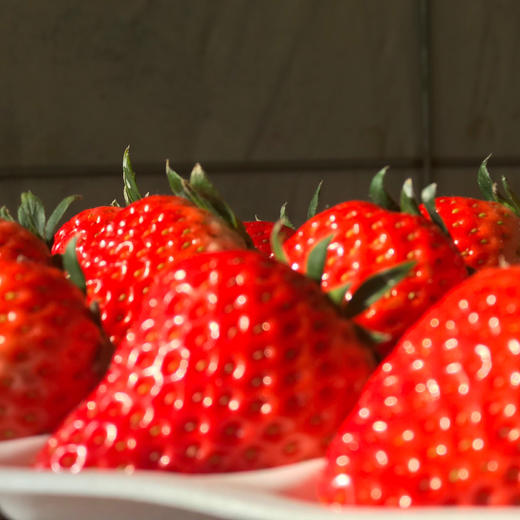 【48小时左右发货】辽宁丹东 红颜草莓🍓2.6斤装左右（约40颗左右/箱） 商品图11