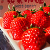 【48小时左右发货】辽宁丹东 红颜草莓🍓2.6斤装左右（约40颗左右/箱） 商品缩略图1