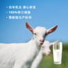 营嘉羊奶 | 全家人的营养补充 商品缩略图5