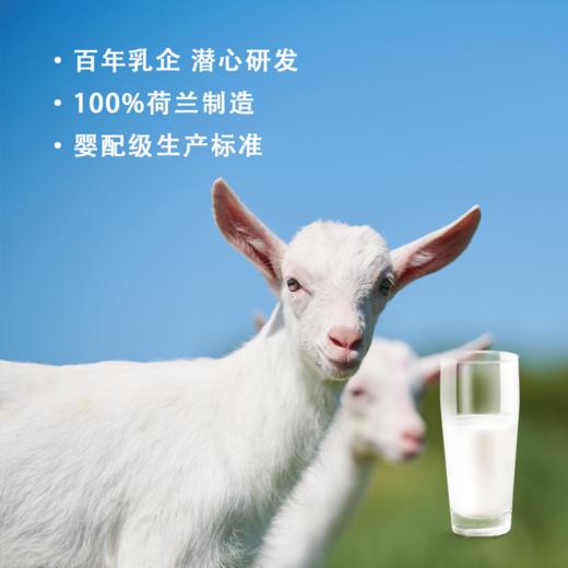 营嘉羊奶 | 全家人的营养补充 商品图5