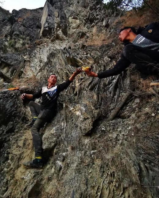 雪山野生蜂蜜 商品图2