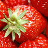 红颜草莓 优选品种 蜂媒授粉 无农残无添加 有机肥天然生态种植 商品缩略图4