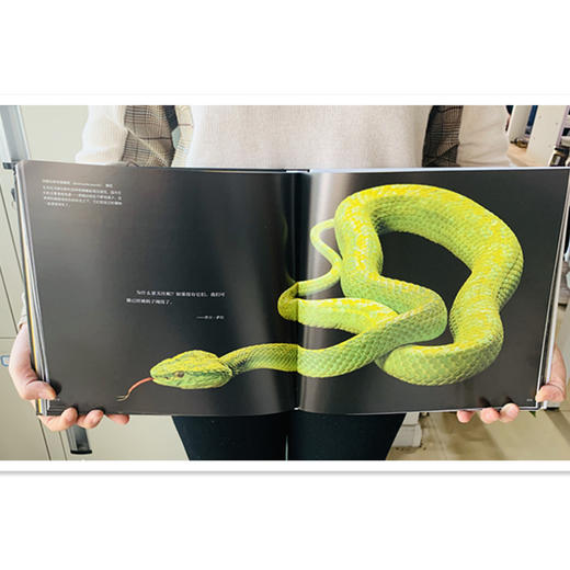 《美国国家地理“影像方舟”：珍稀动物全书 》精装 商品图3