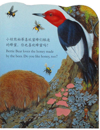 亮丽精美触摸书-小熊波比 中英双语 0-2岁 乐乐趣触摸书 商品图3