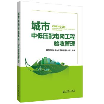 城市中低压配电网工程验收管理 商品图0