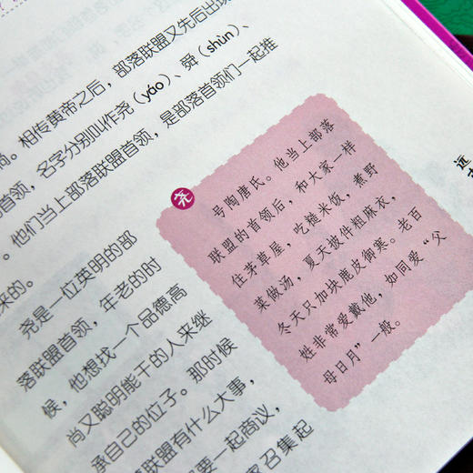 《少年读历史》| 孙洁、张栋、刘蕾、岳静智、刘伟等百余名阅读体验人诚意推荐 商品图7