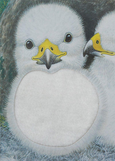 亮丽精美触摸书-小熊波比 中英双语 0-2岁 乐乐趣触摸书 商品图4