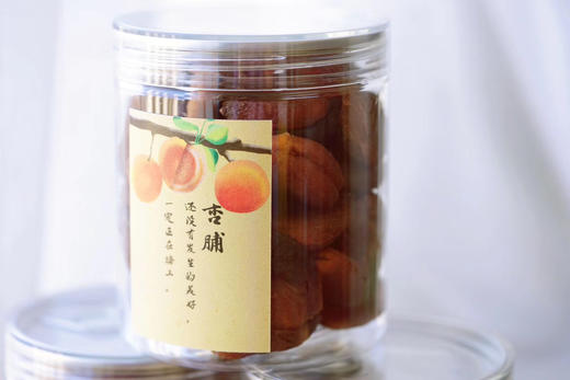 十二月·砚宝斋赠礼 土耳其杏脯 商品图3