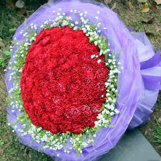 姹紫嫣红----99支康乃馨花束二选一 商品图5