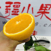 秭归九月老树红橙 果肉细腻，化渣度好橙香味十足，果园现摘现发 商品缩略图14