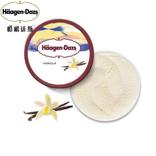 哈根达斯香草味冰淇淋81g(100ml) 商品图2