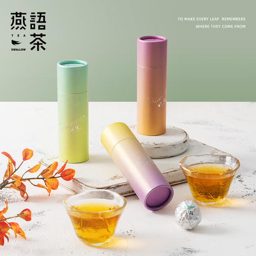 时光白茶5筒装 商品图0