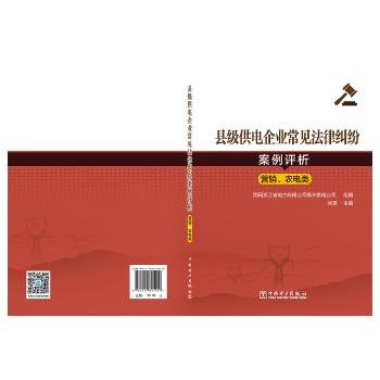县级供电企业常见法律纠纷案例评析 商品图0