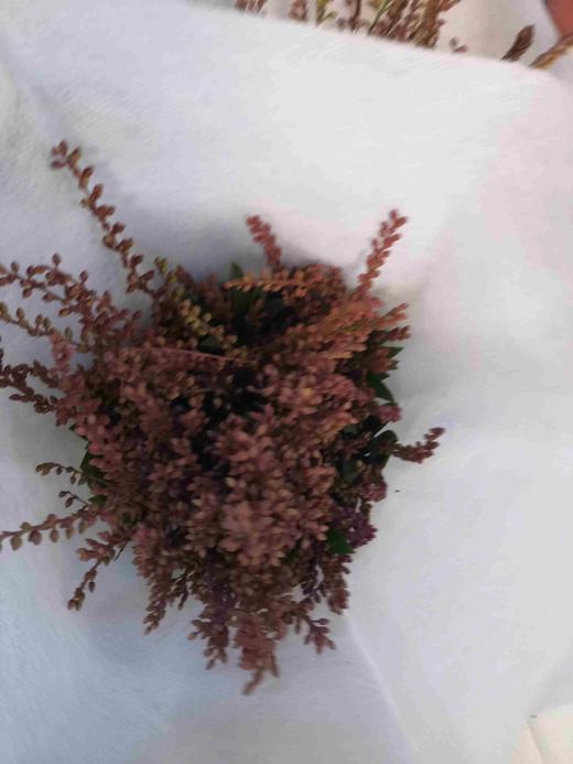 配花-山里红 商品图0