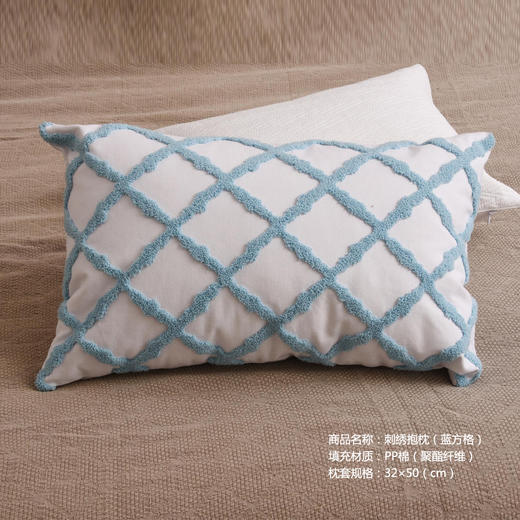 出口刺绣抱枕 蓝方格32×50cm 商品图0