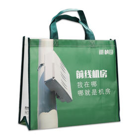 10个桢田无纺布手提袋18L 415*350*120（不含运费）