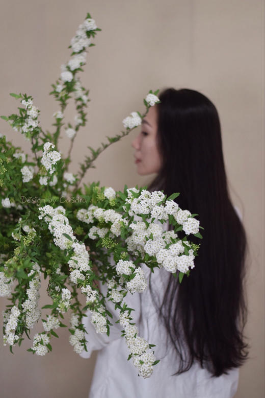 重瓣小手球花一扎 商品图4