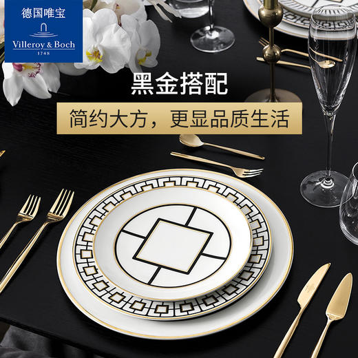 villeroyboch德国唯宝进口骨瓷欧式家用深盘平盘创意盘子都市尚品（散瓷） 商品图2