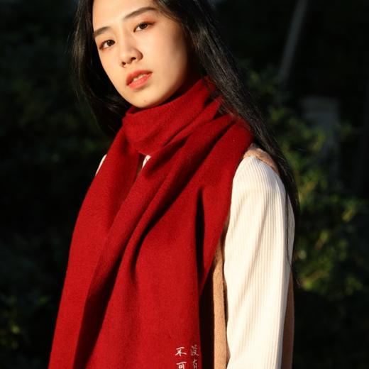 南周文创-“没有一个冬天不可逾越”围巾 徐静蕾手写款 （男女可戴） 商品图7