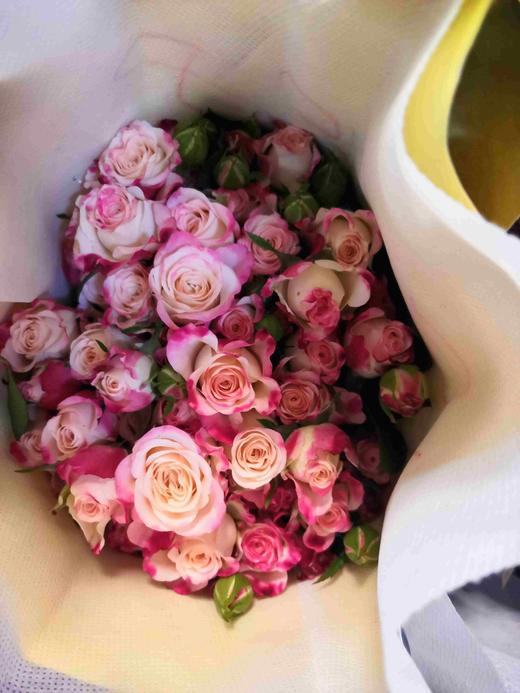 国产玫瑰-多头玫瑰-折射-10枝/扎 商品图1